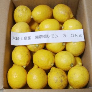 広島県大崎上島産無農薬レモン3.0kg(フルーツ)