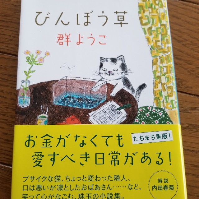 びんぼう草 エンタメ/ホビーの本(文学/小説)の商品写真