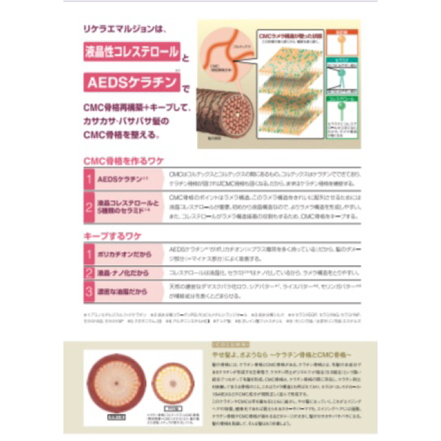 リトルサイエンティスト リケラエマルジョン 1000g トリートメント