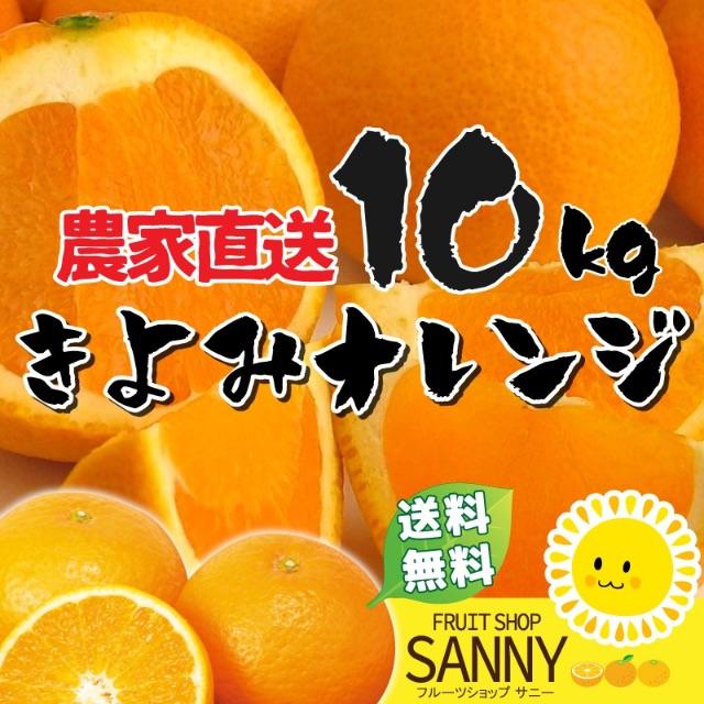 清見オレンジ 食品/飲料/酒の食品(フルーツ)の商品写真