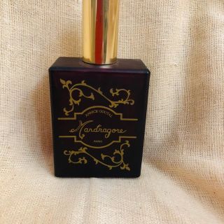 アニックグタール(Annick Goutal)のゆかさま専用☆アニックグタール　マンドラゴール　オードトワレ100ml(その他)