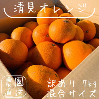 清見オレンジ(フルーツ)