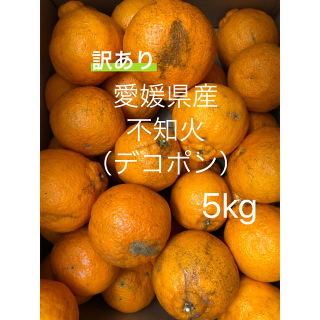 愛媛みかん 不知火（デコポン）5kg 訳あり 食品/飲料/酒の食品(フルーツ)の商品写真