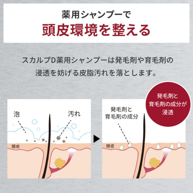 ANGFA(アンファー)のスカルプD 薬用スカルプシャンプー 発毛促進3点セット コスメ/美容のヘアケア/スタイリング(スカルプケア)の商品写真