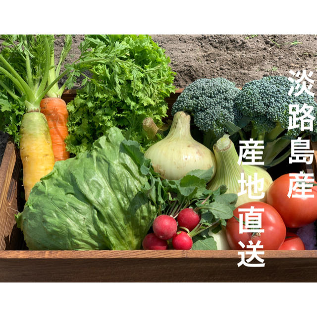 淡路島産☆野菜セット☆80サイズ 食品/飲料/酒の食品(野菜)の商品写真