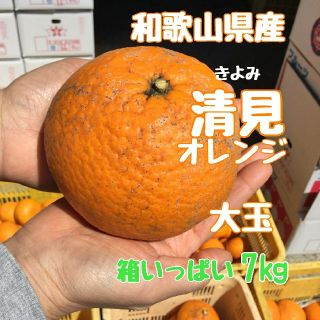 清見オレンジ 大玉   7㎏ 訳あり(フルーツ)