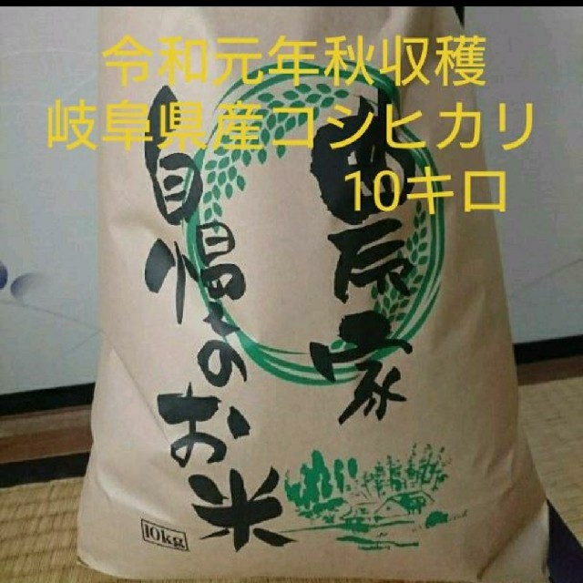 コシヒカリ 10キロ 岐阜県産 食品/飲料/酒の食品(米/穀物)の商品写真