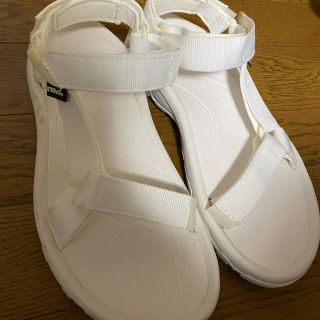 テバ(Teva)の新品正規tevaテバホワイトサンダルサイズ24センチ(サンダル)