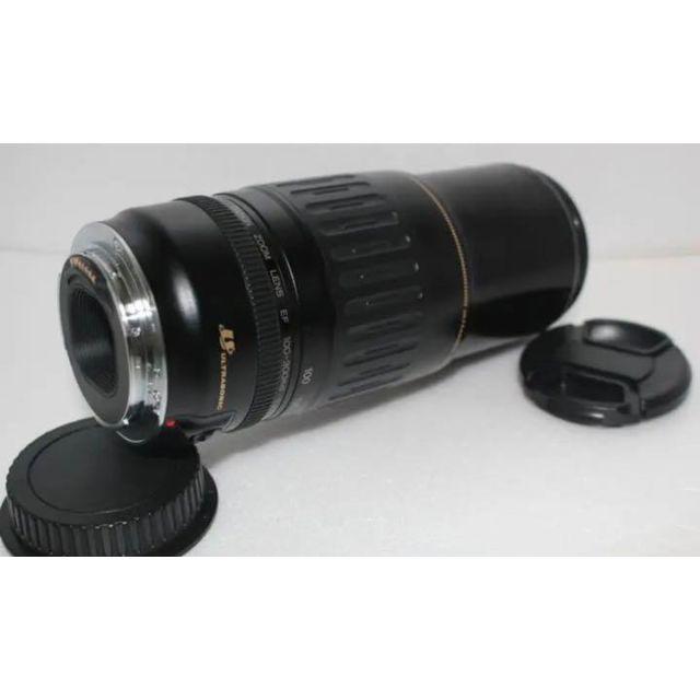 Canon - 遠くも撮れる Canon EF 100-300mm USM超音波モーター★391の通販 by ネコ's shop｜キヤノンならラクマ