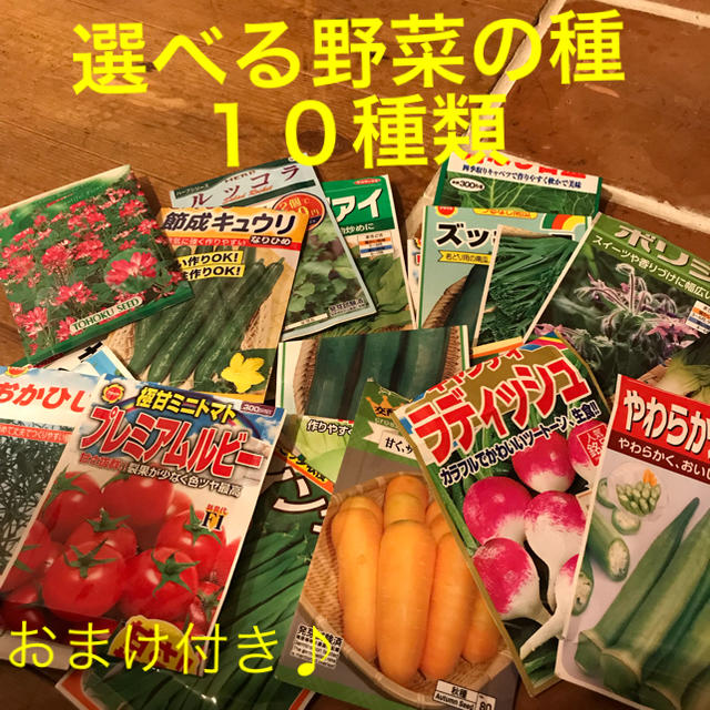 ダックダック様 専用です   野菜の種 小分け １０種類 食品/飲料/酒の食品(野菜)の商品写真