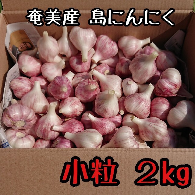 奄美産 小粒サイズ２kg 島にんにく 食品/飲料/酒の食品(野菜)の商品写真