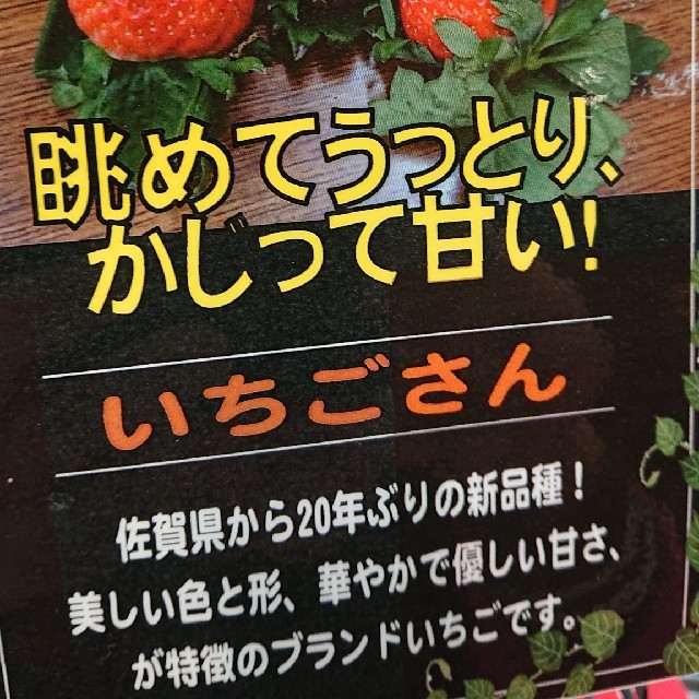 佐賀のいちごさん、小粒秀品750g(全込み) 食品/飲料/酒の食品(フルーツ)の商品写真