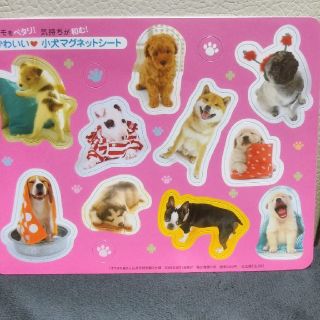 小犬マグネットシート!(その他)