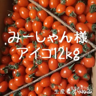 みーしゃん様専用 アイコ12kg ミニトマト 鹿児島県産(野菜)