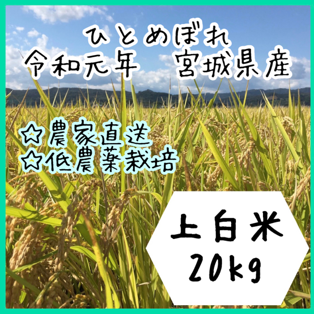 ☆専用品【農家直送】宮城県産ひとめぼれ　上白米20kg【送料無料】米/穀物