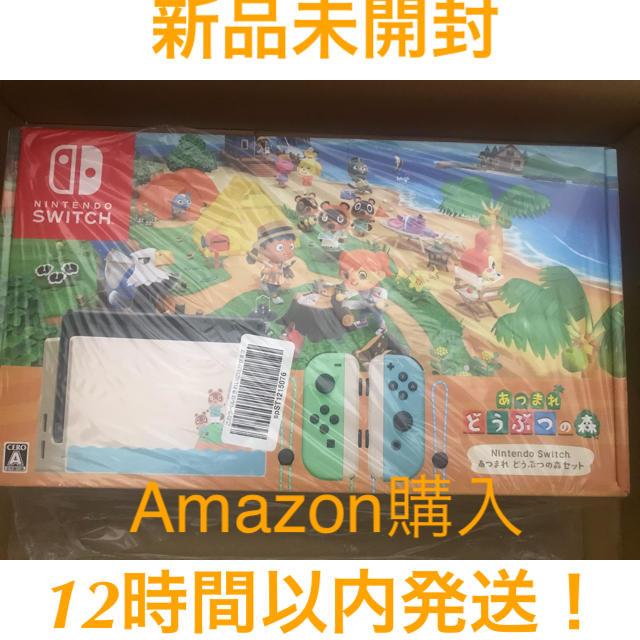 あつまれどうぶつの森同梱Nintendo Switch本体