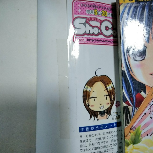 あやかし緋扇 片翼のラビリンス サテライトストーリー くまがい杏子の通販 By ミル S Shop ラクマ