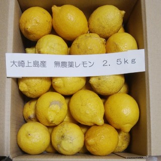 広島県大崎上島産無農薬レモン2.5kg(フルーツ)