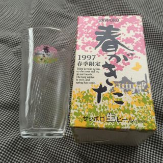 サッポロ(サッポロ)のサッポロ生ビール 1997 春季限定 ビールグラス ガラスコップ 新品 販促品(グラス/カップ)