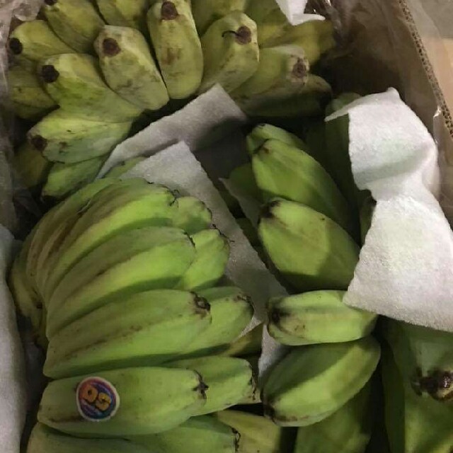 Banana Saba 1 box B size/バナナサバ