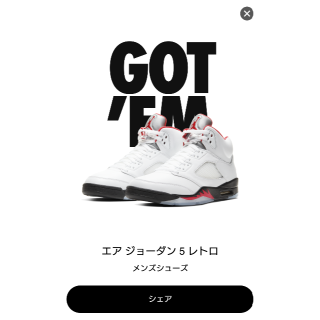 NIKE Air Jordan 5 Fire Red 27.5cm 先行分