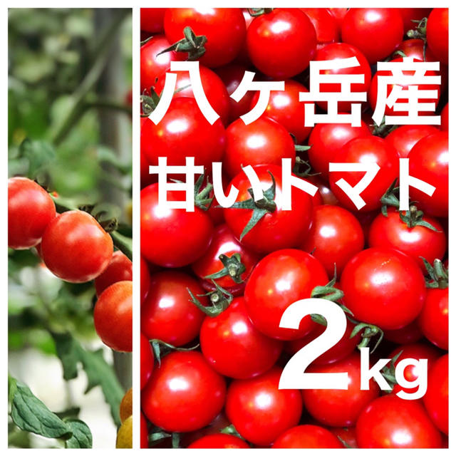 八ヶ岳(長野県) 産　ミニトマト 約2kg バラ 甘くて味が濃い　免疫力UPに 食品/飲料/酒の食品(野菜)の商品写真