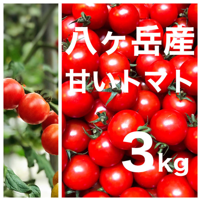 八ヶ岳(長野県) 産　ミニトマト 約3kg バラ 甘くて味が濃い　免疫力UPに 食品/飲料/酒の食品(野菜)の商品写真