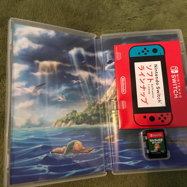 Nintendo Switch(ニンテンドースイッチ)のNintendo swich ゼルダの伝説　夢を見る島 エンタメ/ホビーのゲームソフト/ゲーム機本体(家庭用ゲームソフト)の商品写真