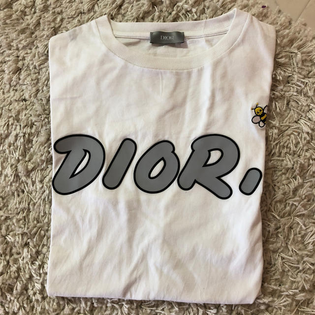 Dior kaws xs bee 19ss