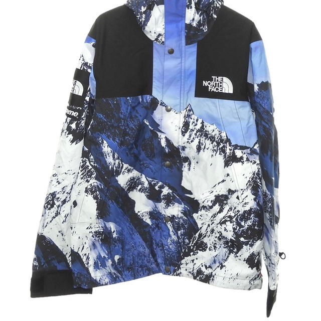 Supreme The North Face Mountain Parka