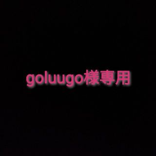 goluugo様専用(その他)