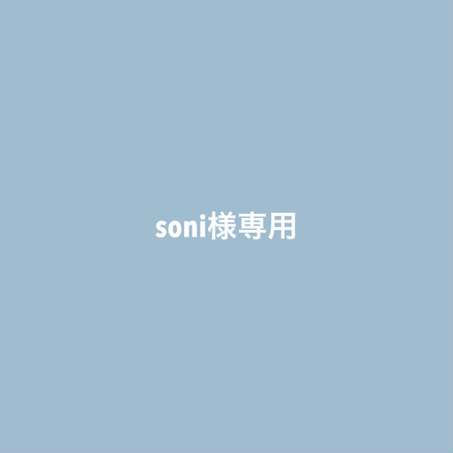 soni様専用 その他のその他(その他)の商品写真