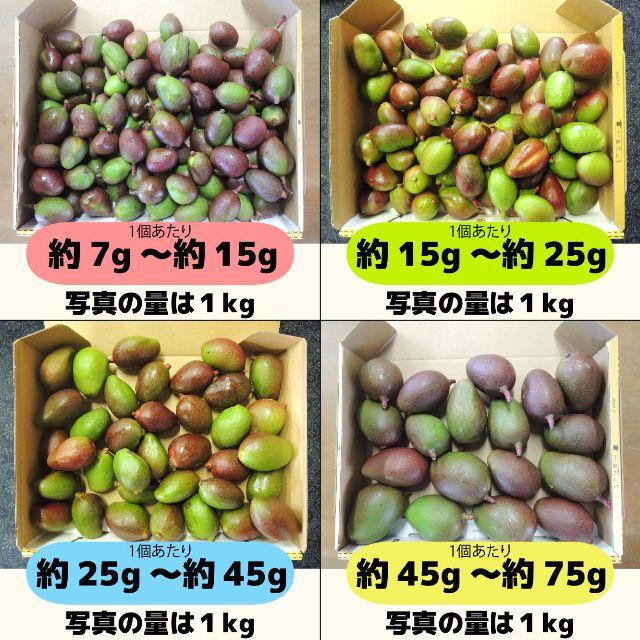 ［約15g～45g］約4.7キロ　グリーンマンゴー 青マンゴー　加工用　マンゴー 食品/飲料/酒の食品(フルーツ)の商品写真