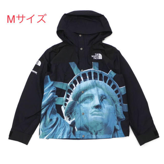 supreme the north face mountain jacket