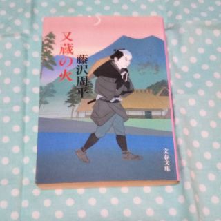 又蔵の火 新装版(文学/小説)