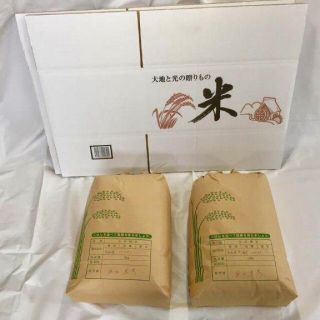 新米❣️令和元年度 高知県産コシヒカリ 20kg 精米無料(米/穀物)