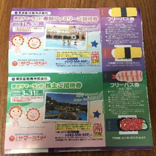 【最新】 東京都競馬　東京サマーランド　株主優待　招待券1冊(10枚)(遊園地/テーマパーク)