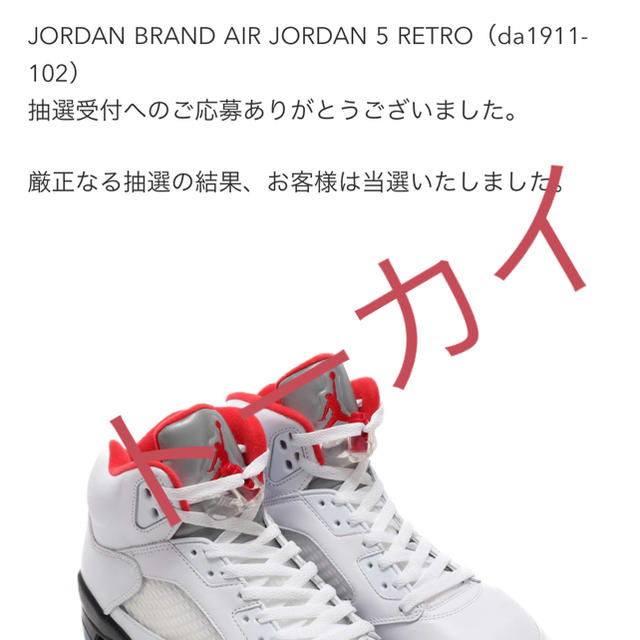 NIKE(ナイキ)のNIKE AIR JORDAN 5 メンズの靴/シューズ(スニーカー)の商品写真