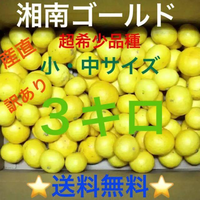 極早生みかん(愛媛県産) 4.5キロ強『✳︎2日間限定SALE‼︎✳︎』