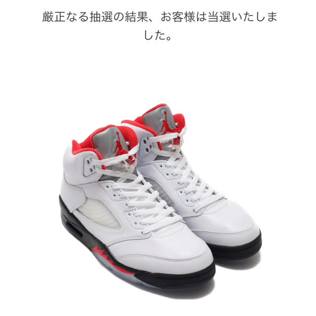 AIR JORAN5 RETRO 27センチ