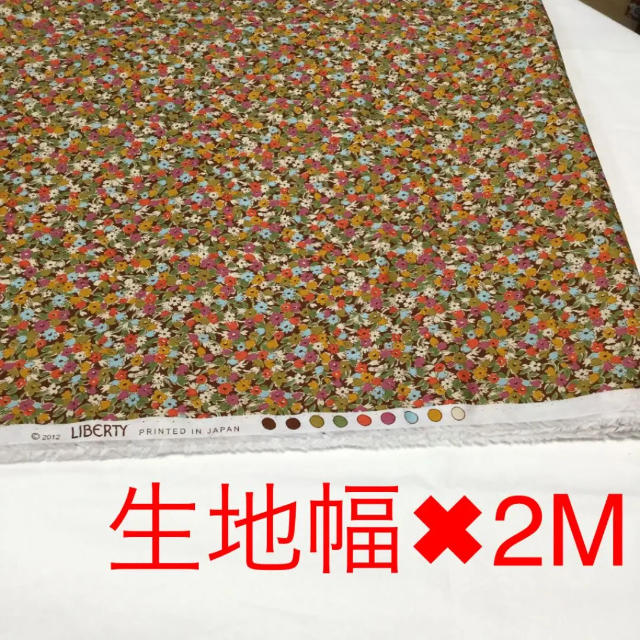 リバティ タナローン レズリース 2m 2