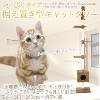 新品★キャットタワー 突っ張りタイプ ベージュ BA/p(猫)