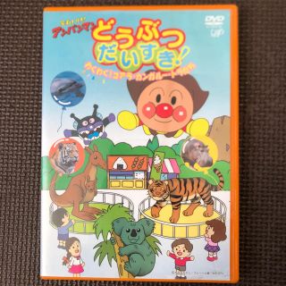 アンパンマン(アンパンマン)のアンパンマンDVD★どうぶつだいすき！わくわく！コアラ・カンガルー他　USED(アニメ)