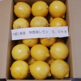 広島県大崎上島産無農薬レモン3.0kg(フルーツ)