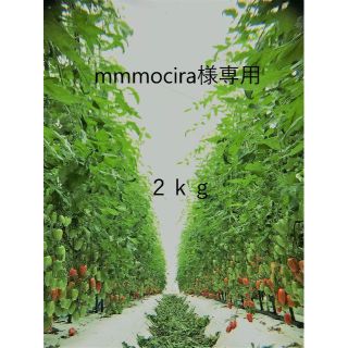 mmmociraさま　専用出品(野菜)