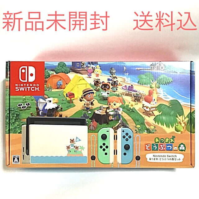 Nintendo Switch - あつまれ どうぶつの森セット ニンテンドースイッチ NintendoSwitch