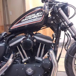 ハーレーダビッドソン(Harley Davidson)のハーレーダビッドソン　デカール　ステッカー左右1セット(ステッカー)