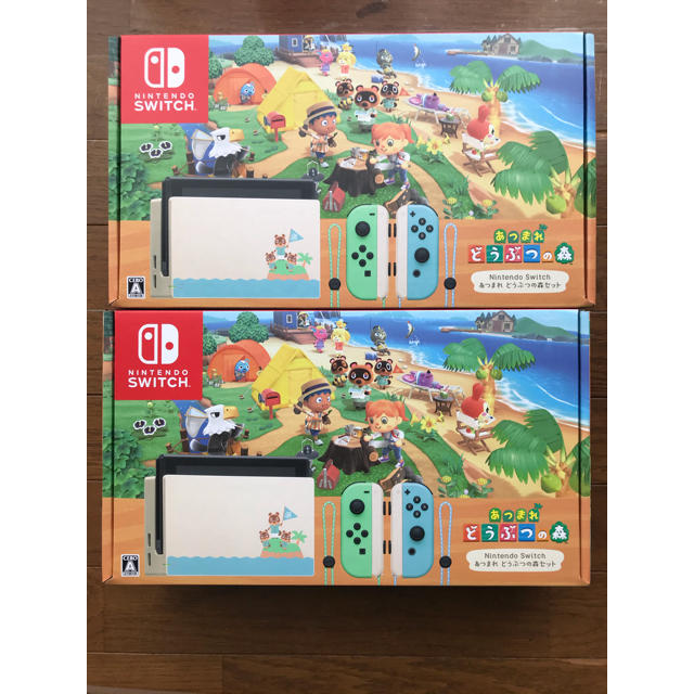 Nintendo Switch あつまれどうぶつの森 同梱版本体　2台セット