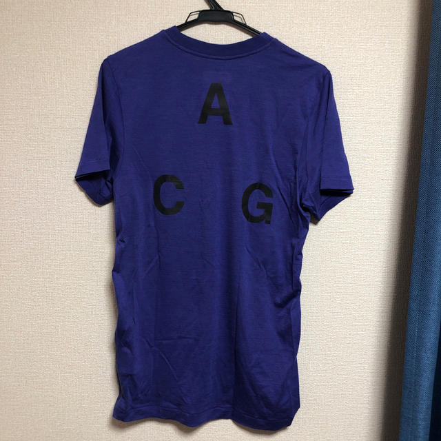NIKE(ナイキ)のNIKE ACG Tシャツ　売り切り価格 メンズのトップス(Tシャツ/カットソー(半袖/袖なし))の商品写真