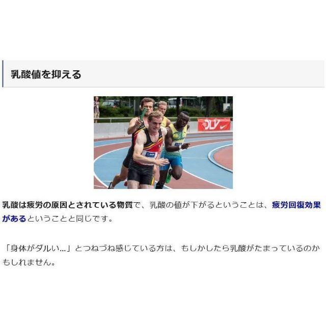 新品)Phiten ベスト アクアチタン 疲労回復 の通販 by KJ's shop|ラクマ